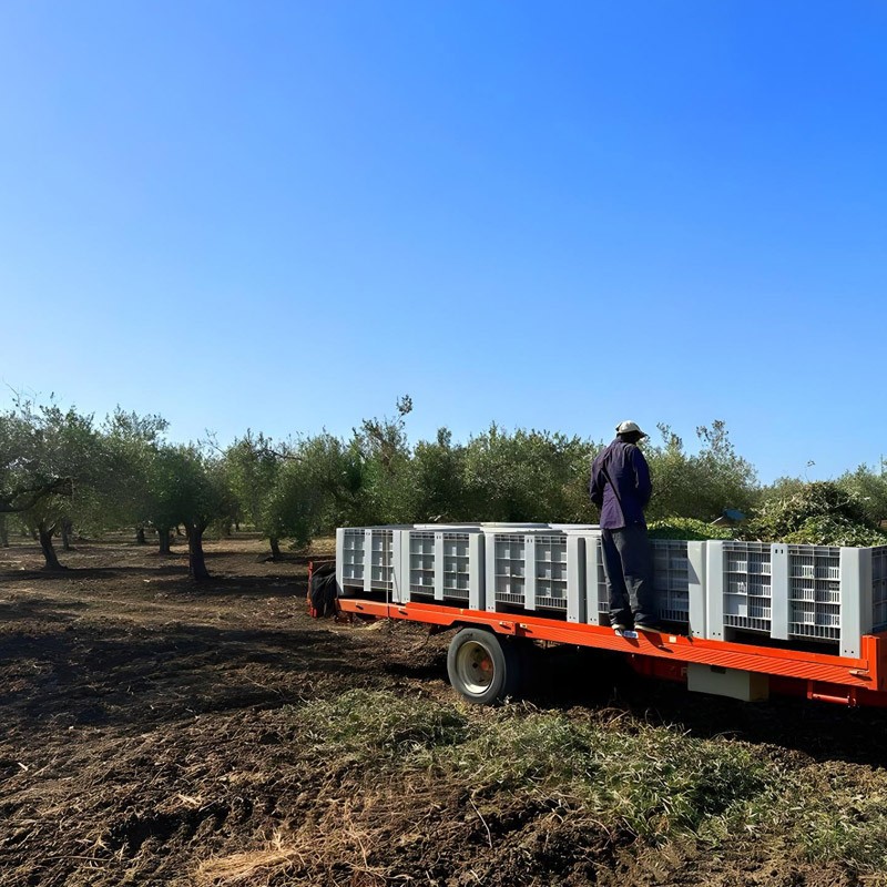 L'azienda a La Mola