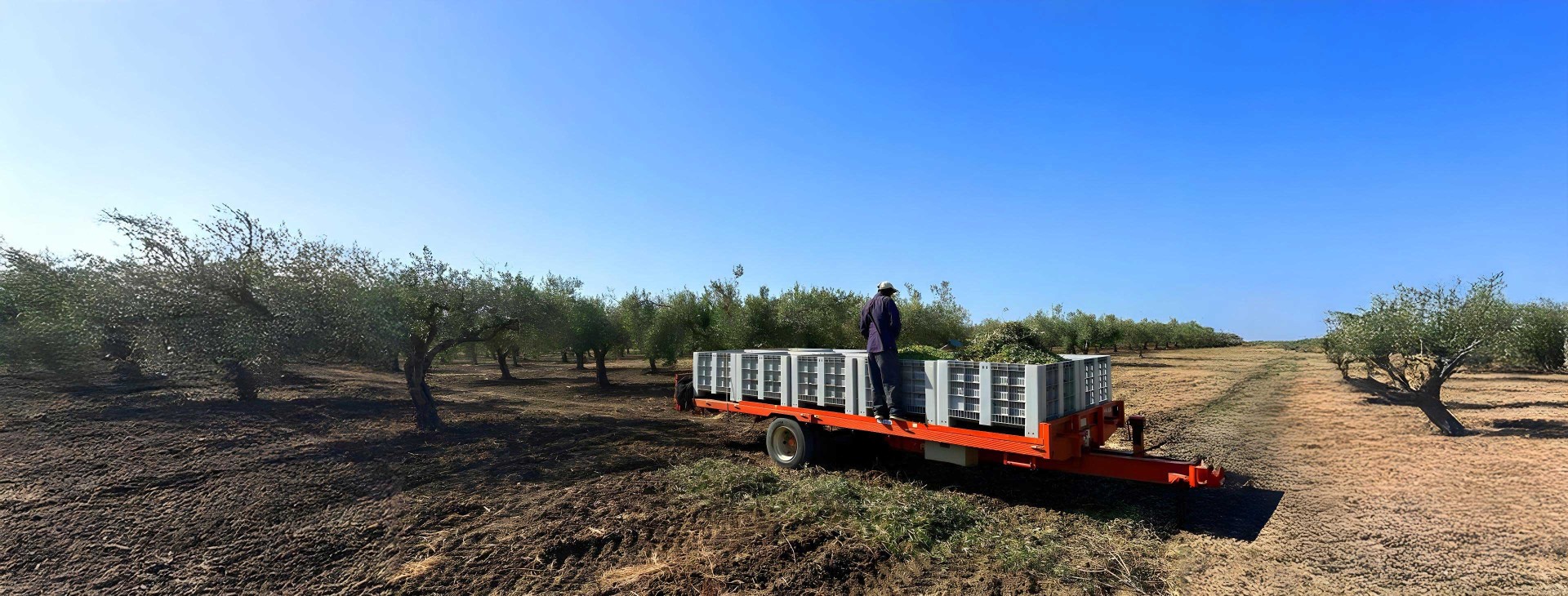 L'azienda a La Mola