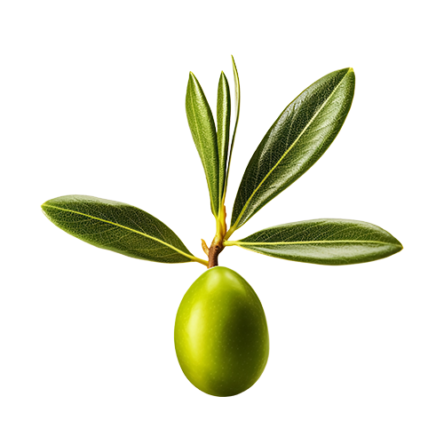 Oliva