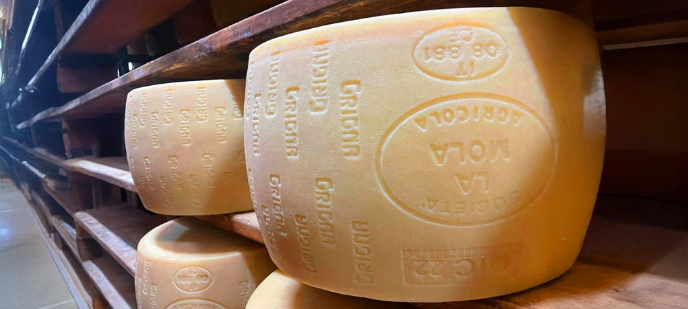 Parmigiano La Mola