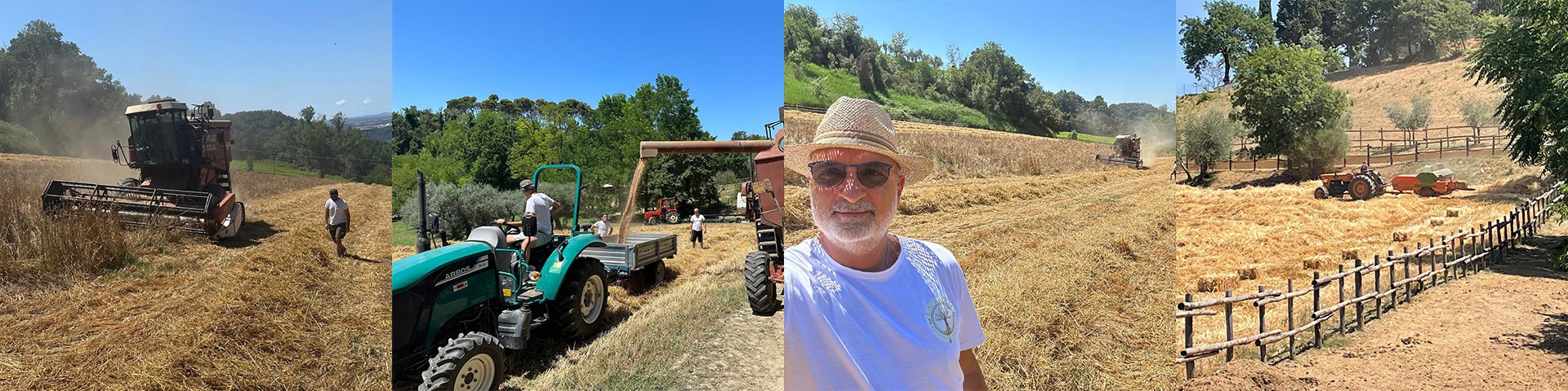 Grano Antico Verna