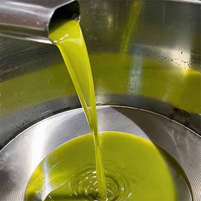Olio Evo estratto a freddo